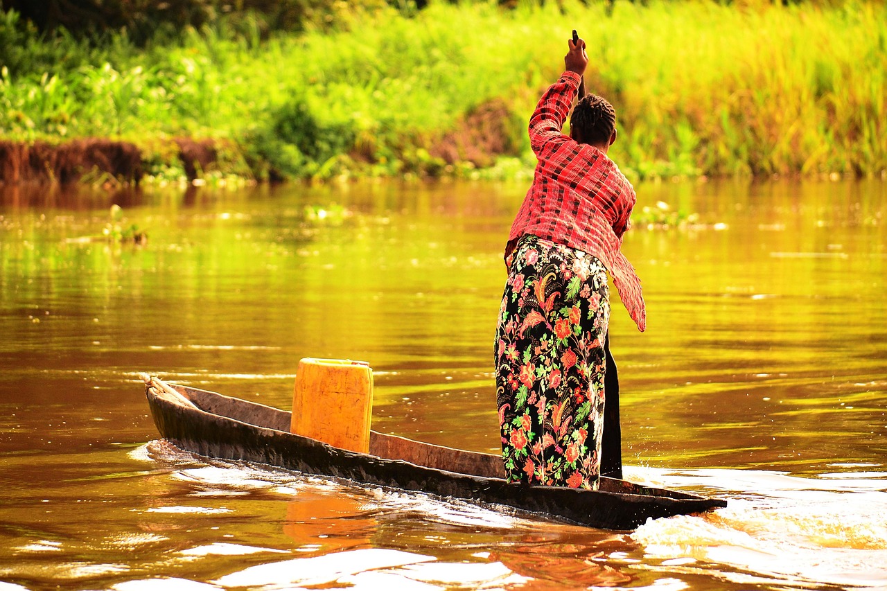 From Tree to Paddle: A Beginner's Introduction to Carving a Wooden Canoe Paddle