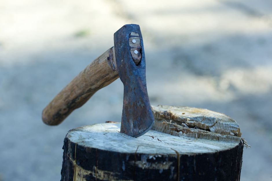 The First Cut: Choosing Your First Carving Axe for Camp Projects
